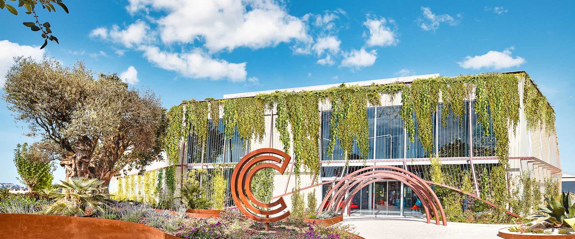 DUIS_Mallorca_Store_Galerie_Foto_2